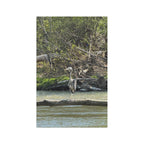 Great Blue Heron Microfiber Tea Towel — Nature-Inspired River Bird Kitchen Towel