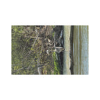Great Blue Heron Microfiber Tea Towel — Nature-Inspired River Bird Kitchen Towel