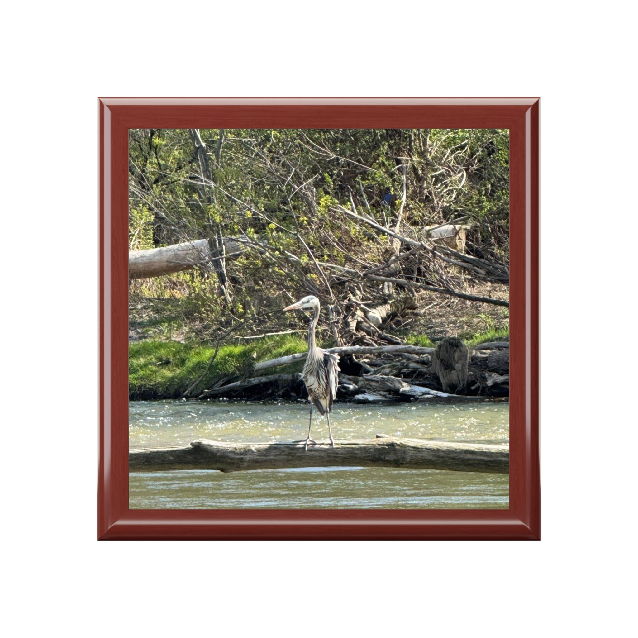 Heron River Jewelry Box — Nature Photo Keepsake Box