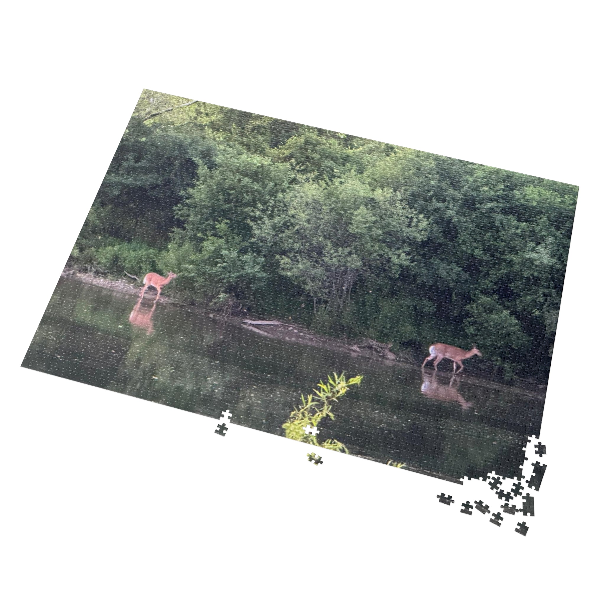 Deer by the River Jigsaw Puzzle with Tin — Scenic Nature Puzzle
